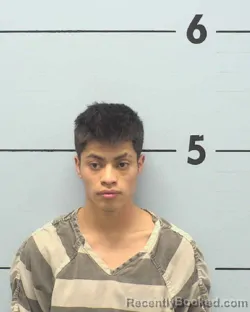Mugshot of KEVIN FERNANDO GUTIERREZ TZUL
