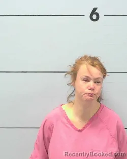Mugshot of CHRISTINA MARIE ARNEY