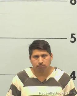 Mugshot of HEROLDO LOPEZ LOPEZ