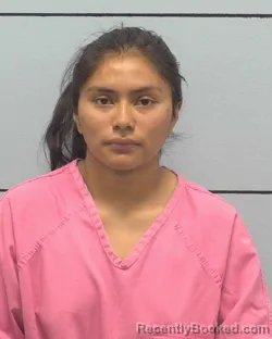 Mugshot of MAIDA EDITH RAMIREZ
