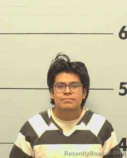 Mugshot of RONALDO CRISOSTOMO-MORALES