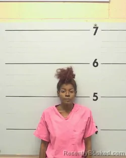 Mugshot of Lacarsha Tiara Mackins booked in Burke County, North Carolina on August 10, 2026