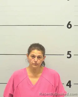 Mugshot of Christina Denise Lowman booked in Burke County, North Carolina on August 25, 2026