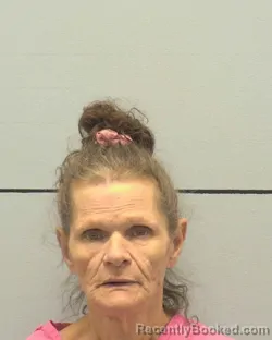 Mugshot of Debra Caudill-Ann Haas booked in Burke County, North Carolina on August 27, 2026