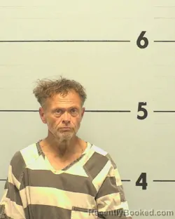 Mugshot of MICHAEL WAYNE LEE