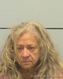 Mugshot of Dawna Mcgalliard Todd booked in Burke County, North Carolina on September 6, 2026