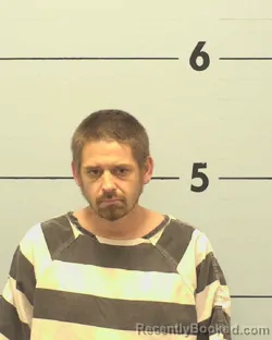 Mugshot of JAMIE ALLEN COLLINS