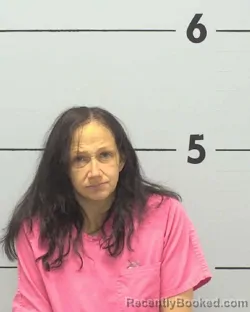 Mugshot of LINDA KAY SLONE