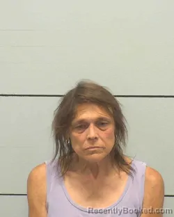 Mugshot of TONYA MICHELLE LOWDERMILK booked in Burke County, North Carolina on June 25, 2026