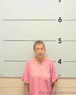 Mugshot of Shannon Bell Coleman booked in Burke County, North Carolina on August 16, 2026