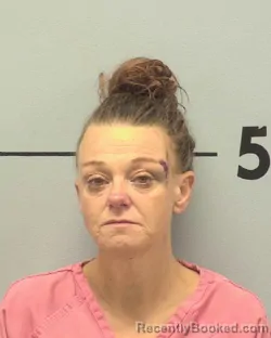 Mugshot of SHEILA LYNN EDDINS