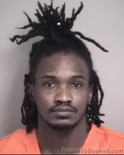 Mugshot of FIEL WAYNA ANDERSON