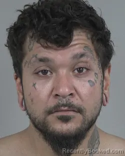 Mugshot of ELBERT NATHANIEL LOWERY