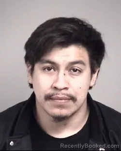 Mugshot of JUAN RICARDO MARTINEZ MEZA