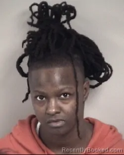 Mugshot of TIERA JOYA GRIER