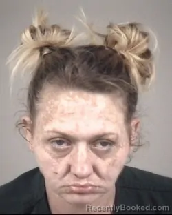 Mugshot of JESSICA VAUGHN BROWN