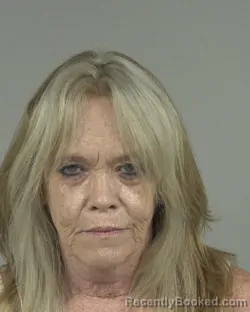 Mugshot of LORI ANN BOZEMAN booked in Cabarrus County, North Carolina on May 26, 2026