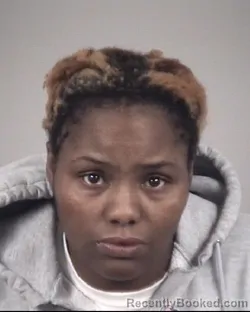 Mugshot of LAYLAN TISHAWN FLEMING