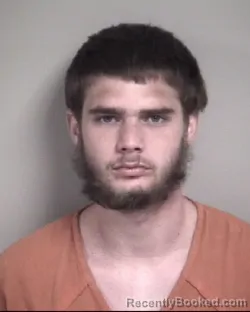 Mugshot of NATHANIEL WAYNE ELLIS