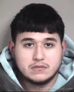 Mugshot of JESUS DAVID DAVILA FLORES