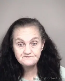 Mugshot of CHRISTY MARIE DRAKE