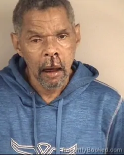 Mugshot of ROBIN DALE FORD