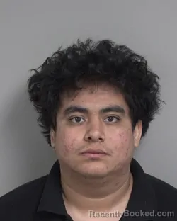 Mugshot of GUSTAVO HERNANDEZ RAMOS