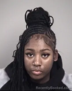 Mugshot of SERENA ALLINE MCCLURE