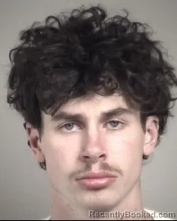 Mugshot of MATTHEW LANE KREITZ