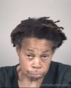 Mugshot of DAWN FRANCES THOMAS