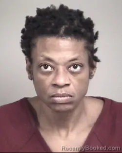 Mugshot of LORITA YVONNE STEVENSON