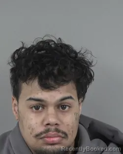 Mugshot of IAN JOEL FRALIX