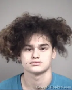 Mugshot of LOGAN PHILLIP CERDAS GRAY