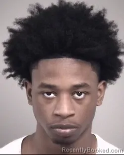 Mugshot of BRAYLON RYDELL ROBINSON