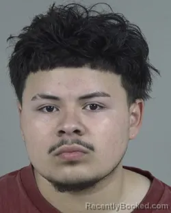 Mugshot of STEVEN SALINAS HERNANDEZ