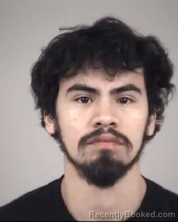 Mugshot of ELMER MATIAS LEON