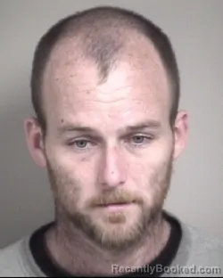 Mugshot of DALLAS DAVID MCSHEENAN