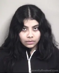Mugshot of GERALDYN DALLANE MEZA-CASTRO