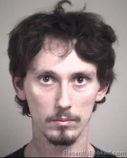 Mugshot of WILL ALLEN HORNE