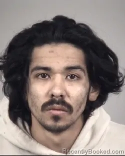 Mugshot of JUAN ALEMAN CASTILLO