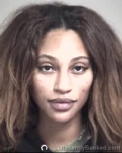 Mugshot of JAMIE DANIELLE LEA