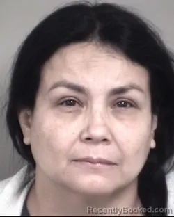 Mugshot of JOHANA ANDREA SUAREZ CASTRO
