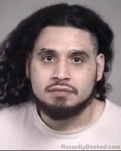 Mugshot of SCOTT GIOVANIE HILLS