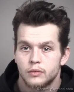 Mugshot of PATRICK SLADE LICAUSI