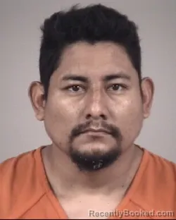 Mugshot of TOMAS NIEVES