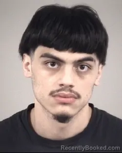 Mugshot of JUAN ANTONIO CANO