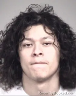 Mugshot of CHRISTIAN ANTONIO GAMADIE LOPEZ KING