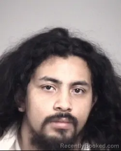 Mugshot of RAUL GIRON-ROSAS