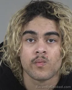 Mugshot of DONALD HERLING ARNOLD