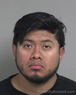 Mugshot of LUIS ANGEL RAMIREZ PEREZ